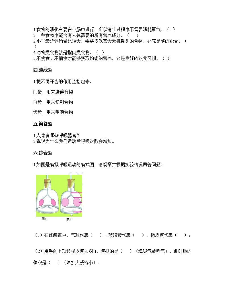 教科版科学四年级上册第二单元呼吸和消化（单元测试）（含答案）第2页