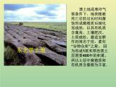 苏教版小学科学三年级下册《1.1．我们周围的土壤》PPT课件(1)