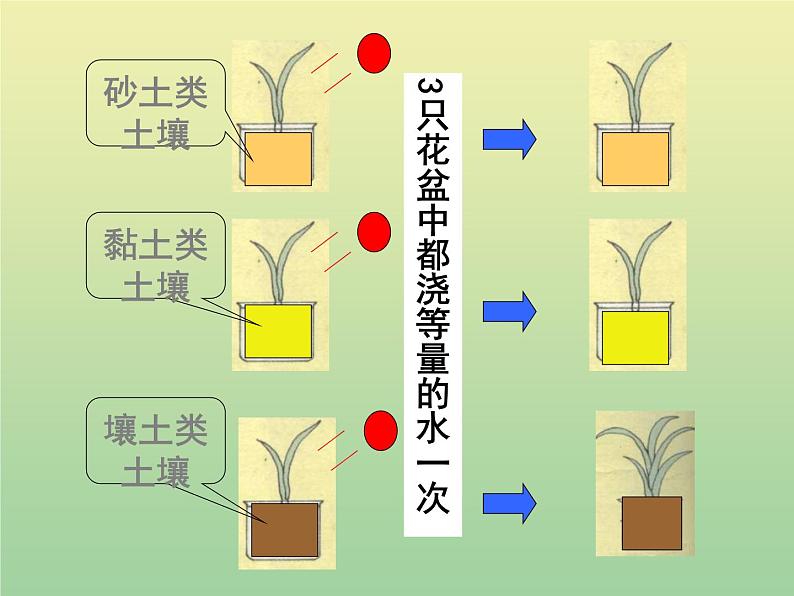 苏教版小学科学三年级下册《1.1．我们周围的土壤》PPT课件(4)08