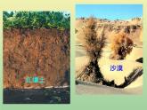 苏教版小学科学三年级下册《1.1．我们周围的土壤》PPT课件(5)