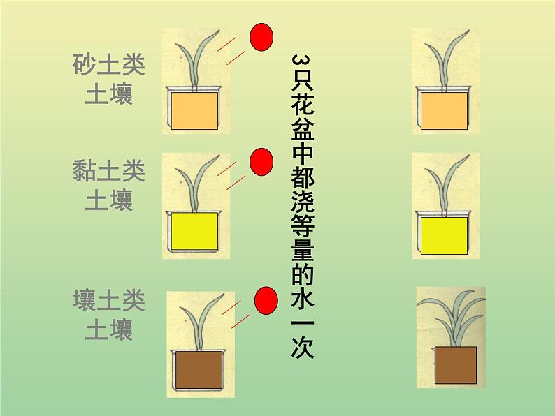 苏教版小学科学三年级下册《1.1．我们周围的土壤》PPT课件(6)第8页