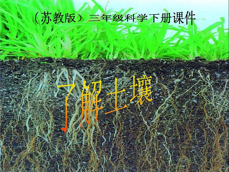 苏教版小学科学三年级下册《1.2．了解土壤》PPT课件(2)第1页
