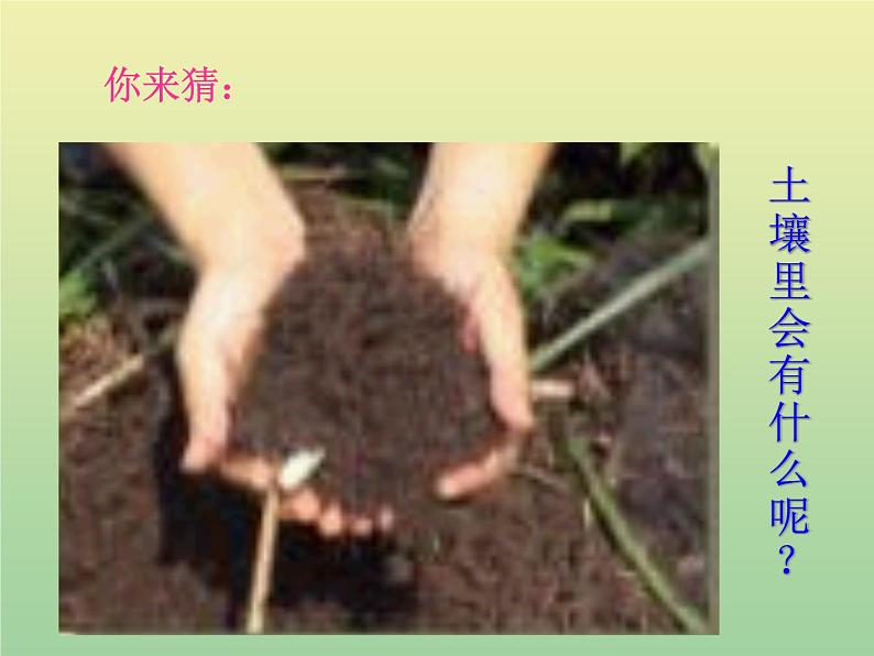 苏教版小学科学三年级下册《1.2．了解土壤》PPT课件(2)第2页