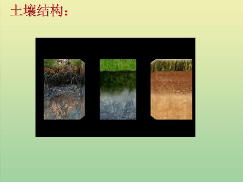 苏教版小学科学三年级下册《1.2．了解土壤》PPT课件(2)第3页