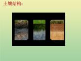 苏教版小学科学三年级下册《1.2．了解土壤》PPT课件(2)