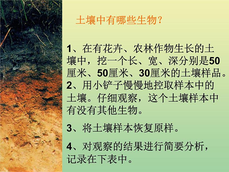 苏教版小学科学三年级下册《1.2．了解土壤》PPT课件(2)第4页