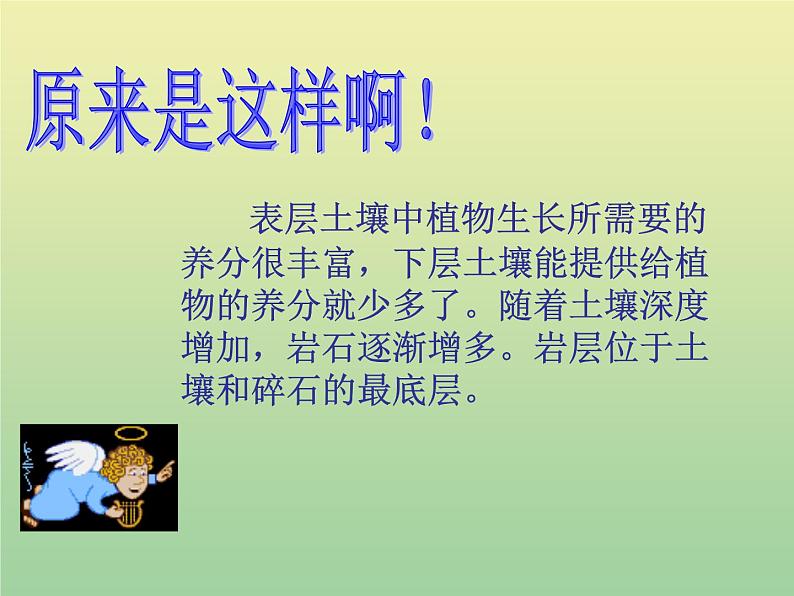 苏教版小学科学三年级下册《1.3.肥沃的土壤》PPT课件 (1)04