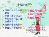 苏教版小学科学三年级下册《1.3.肥沃的土壤》PPT课件 (2)