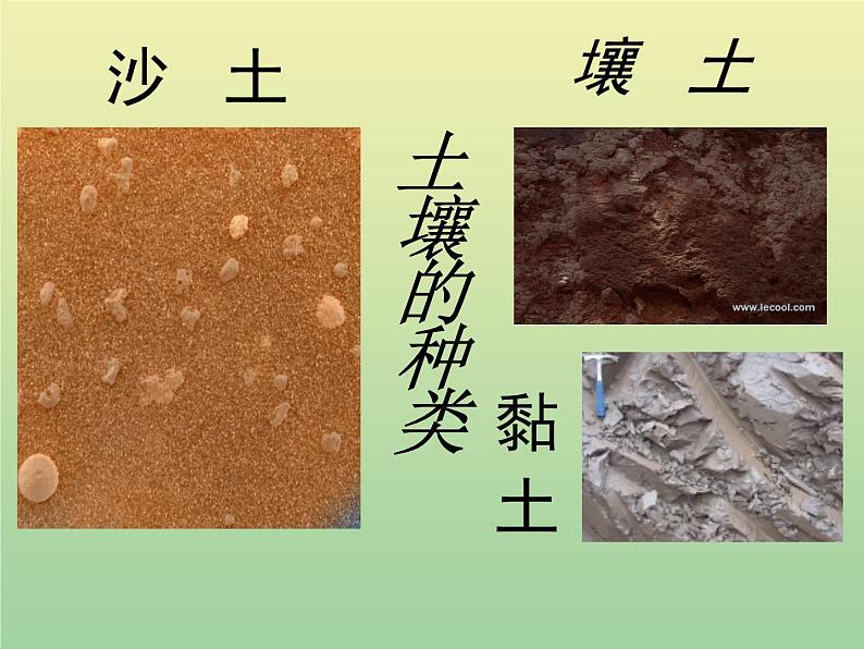 苏教版小学科学三年级下册《1.3.肥沃的土壤》PPT课件 (2)07