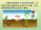 苏教版小学科学三年级下册《1.4．土壤的保护》PPT课件(1)