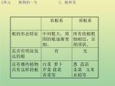 苏教版小学科学三年级下册《2.2．根和茎》PPT课件(1)