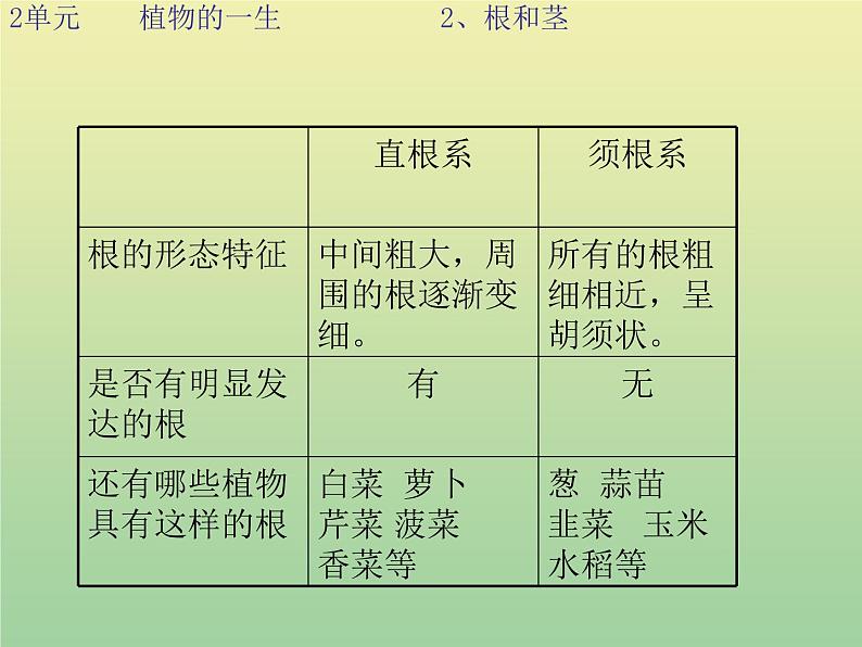 苏教版小学科学三年级下册《2.2．根和茎》PPT课件(1)04