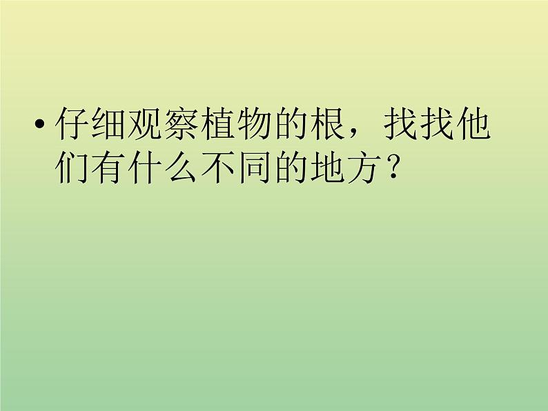 苏教版小学科学三年级下册《2.2．根和茎》PPT课件(4)02