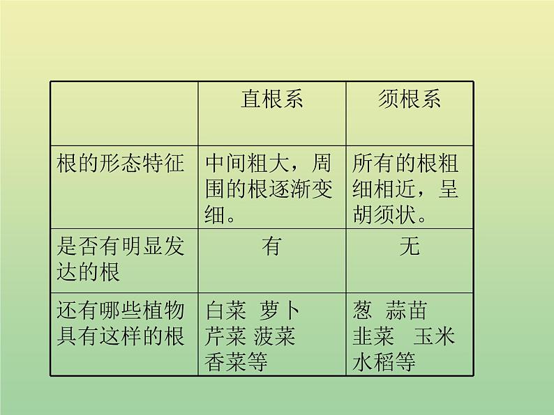 苏教版小学科学三年级下册《2.2．根和茎》PPT课件(6)04