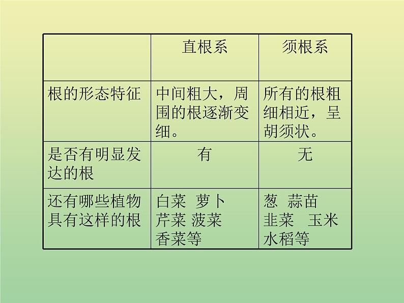 苏教版小学科学三年级下册《2.2．根和茎》PPT课件(8)06