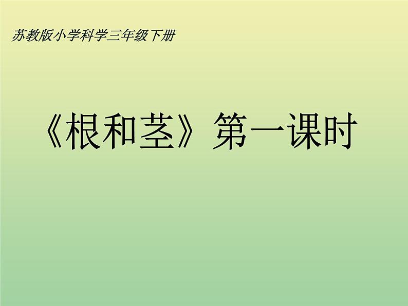 苏教版小学科学三年级下册《2.2．根和茎》PPT课件(9)01