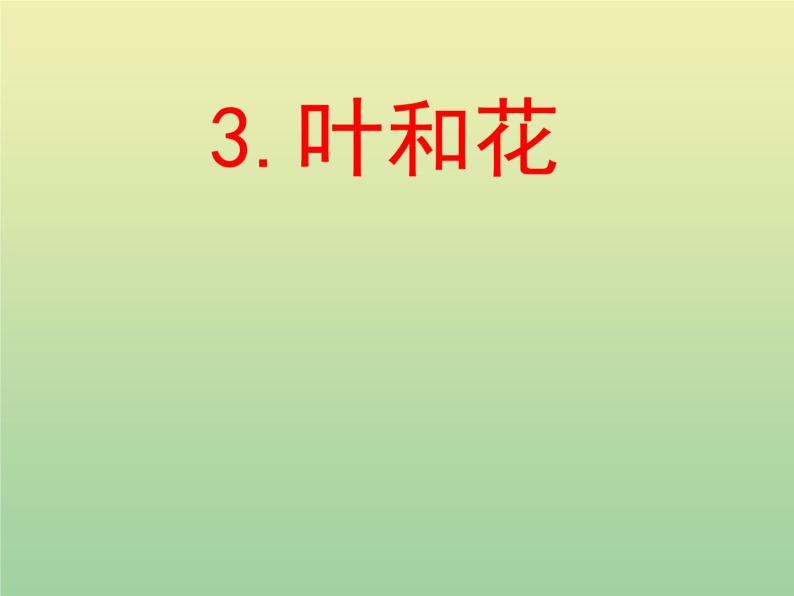 苏教版小学科学三年级下册《2.3．叶和花》PPT课件(3)01