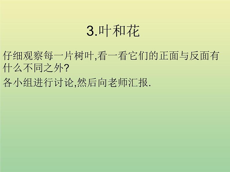 苏教版小学科学三年级下册《2.3．叶和花》PPT课件(6)第1页