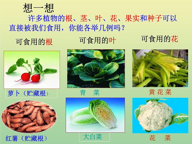 苏教版小学科学三年级下册《2.4.植物和我们》PPT课件 (1)第3页