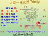 苏教版小学科学三年级下册《2.4.植物和我们》PPT课件 (2)