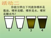 苏教版小学科学三年级下册《5.1观察》PPT课件(2)