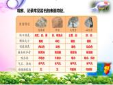 新版蘇教版科學四年級上冊16常見的巖石-知識點復習PPT課件（動畫已調(diào)）