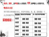 2021新版教科版科学四年级上册第一单元知识点汇总+实验+典型试题课件(动画已调)