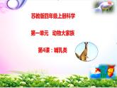 新版蘇教版科學(xué)四年級上冊4哺乳類知識復(fù)習(xí)PPT課件（動畫已調(diào)）