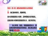 新版蘇教版科學(xué)四年級上冊4哺乳類知識復(fù)習(xí)PPT課件（動畫已調(diào)）