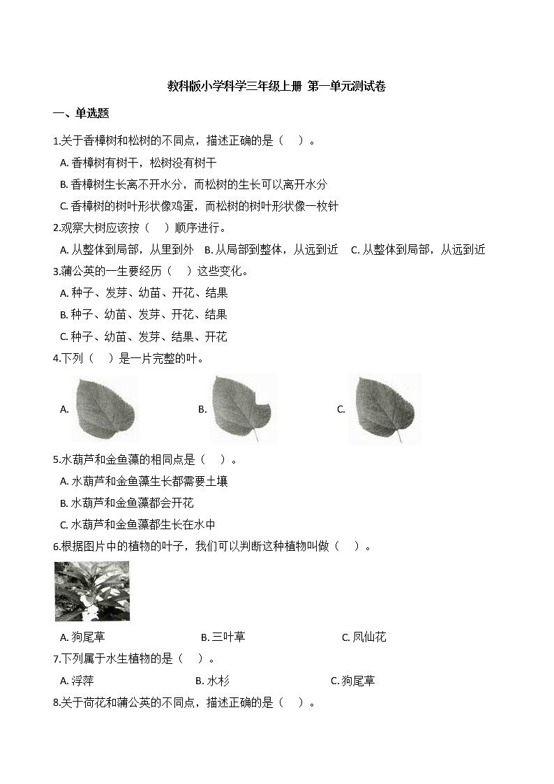 教科版小学科学三年级上册 第一单元测试卷第1页