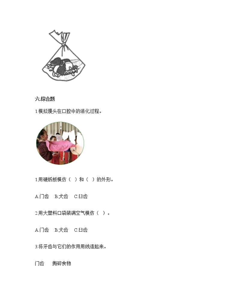 （教科版）四年级上册科学第二单元呼吸和消化（单元测试题（含答案）03