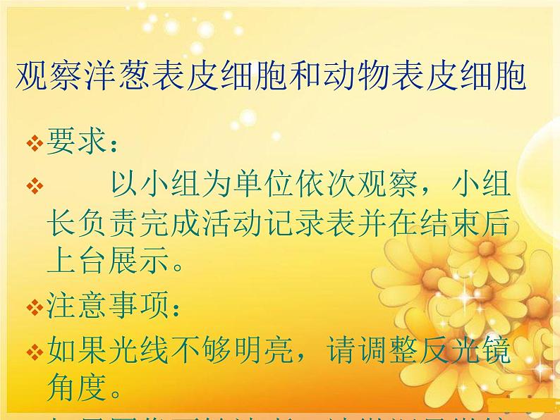 1.4 搭建生命体的“积木”（1）（课件）科学六年级上册-苏教版07