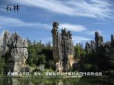 2.5 地表的变迁（2）（课件）科学六年级上册-苏教版
