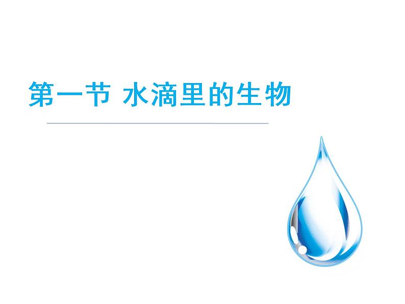 1.1 水滴里的生物（3）（课件）科学六年级上册-苏教版第1页