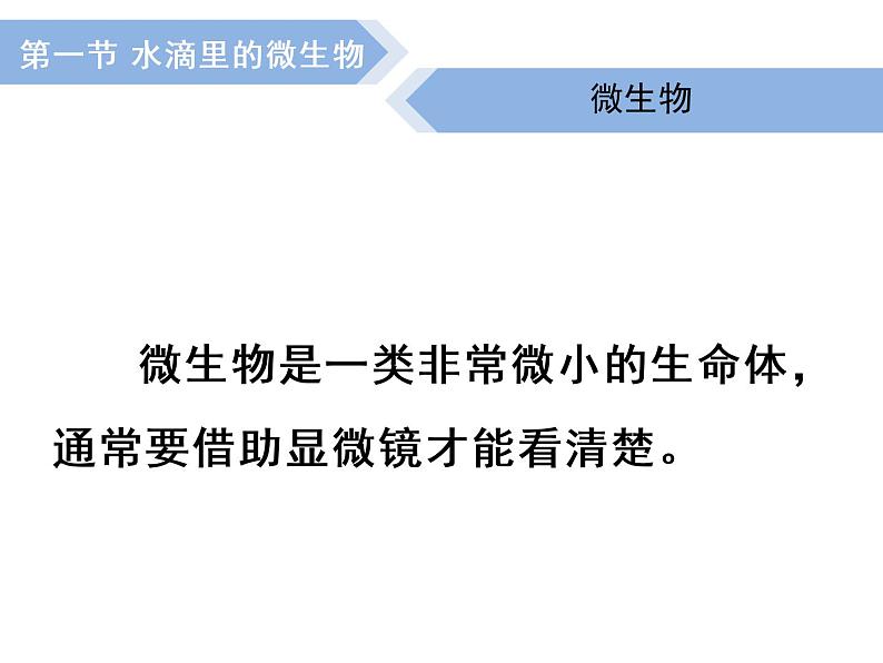 1.1 水滴里的生物（3）（课件）科学六年级上册-苏教版第3页