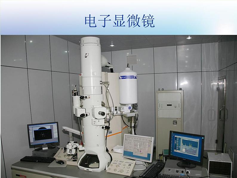 1.1 水滴里的生物（1）（课件）科学六年级上册-苏教版第6页