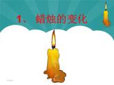 3.1 蜡烛的变化（3）（课件）科学六年级上册-苏教版