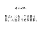 3.4 洗衣服的学问（4）（课件）科学六年级上册-苏教版