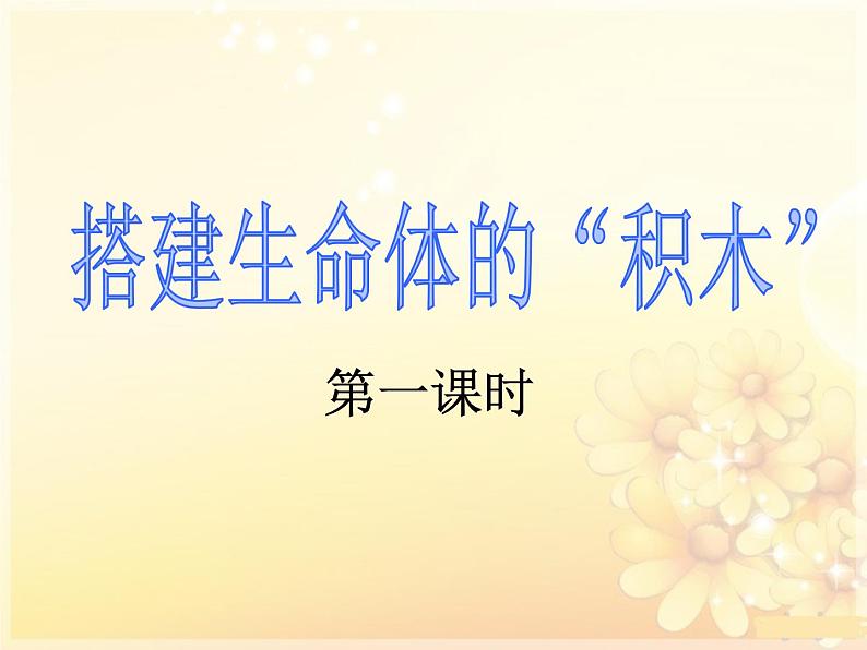 1.4 搭建生命体的“积木”（5）（课件）科学六年级上册-苏教版01