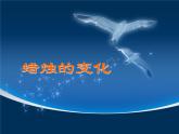 3.1 蜡烛的变化（6）（课件）科学六年级上册-苏教版