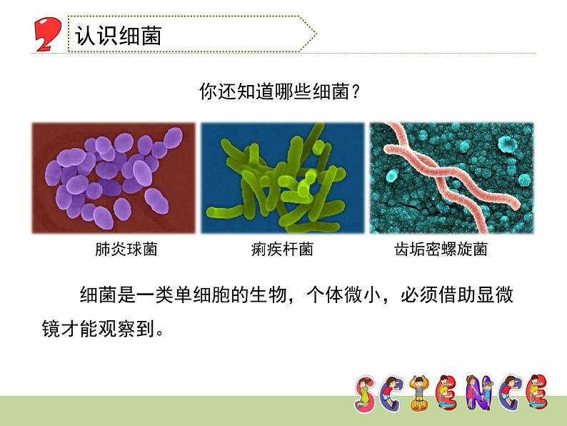 1.2 做酸奶（6）（课件）科学六年级上册-苏教版03