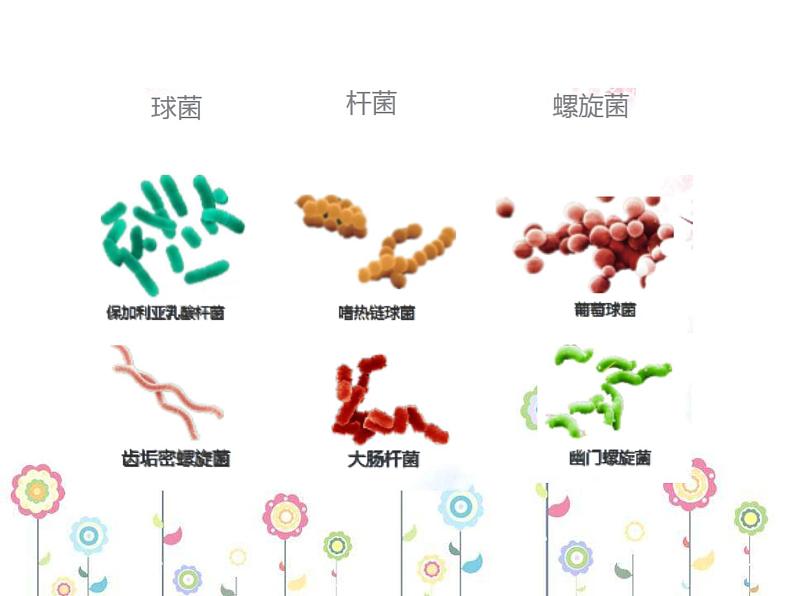 1.2 做酸奶（4）（课件）科学六年级上册-苏教版08