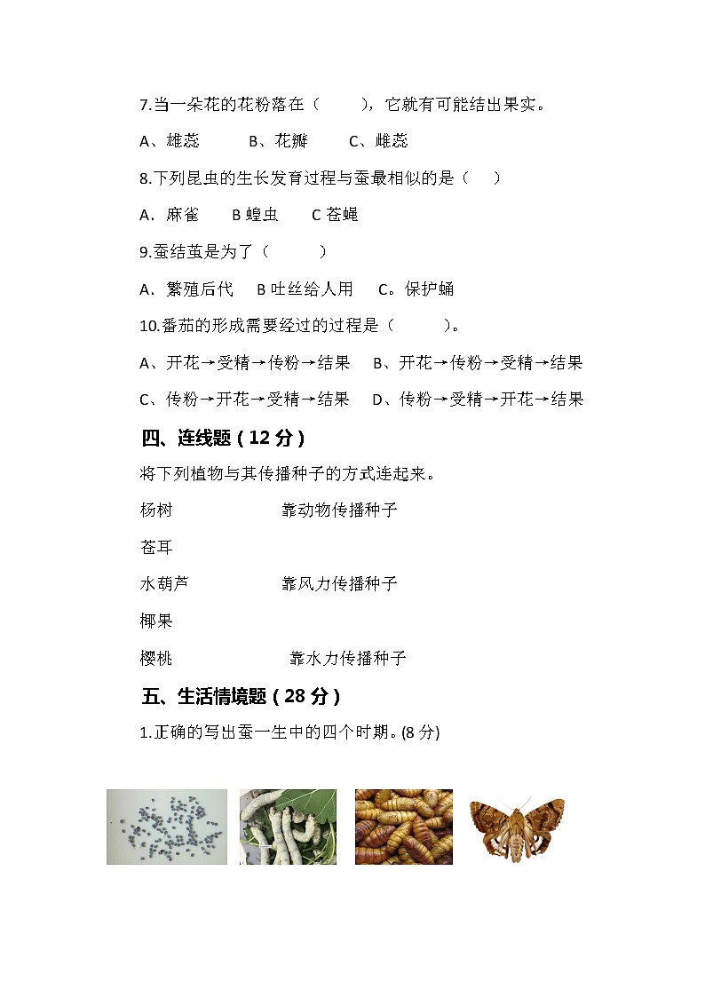 【最新版】新粤教粤科版科学四年级上册期中测试卷及答案2第3页