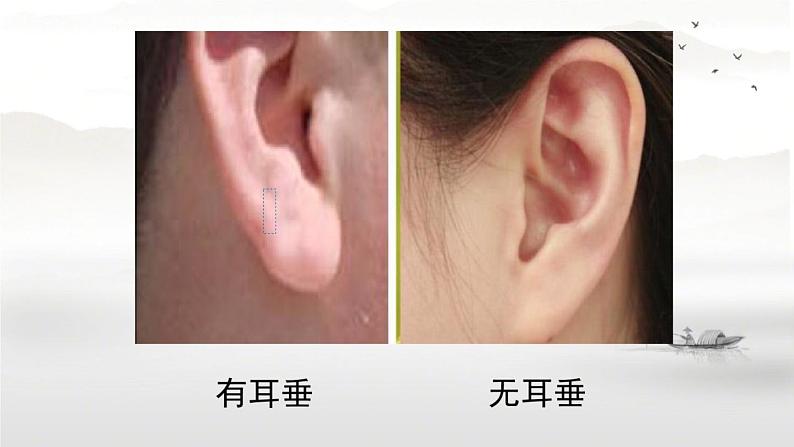 苏教版六年级科学下册2.2 生物的变异现象课件02