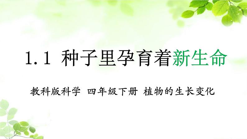 教科版四年级科学下册1.1种子里孕育着新生命教学课件第1页