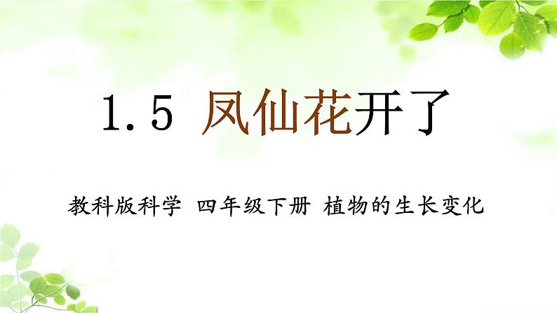 教科版四年级科学下册1.5凤仙花开花了教学课件01