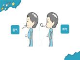 4.2我們的呼吸器官課件PPT