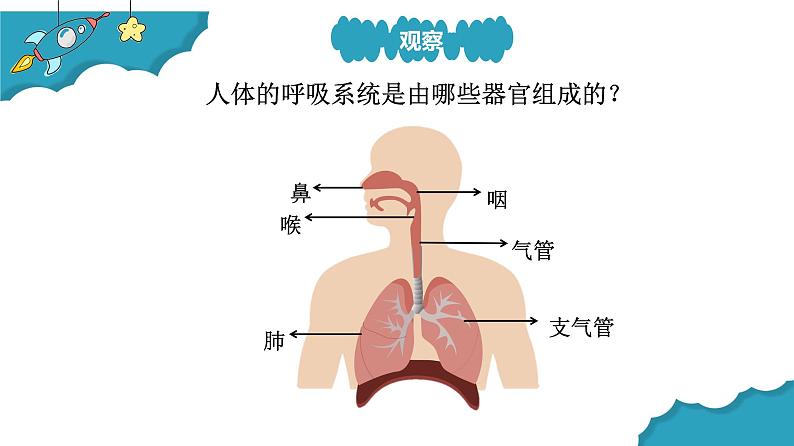 4.2我们的呼吸器官课件PPT第5页