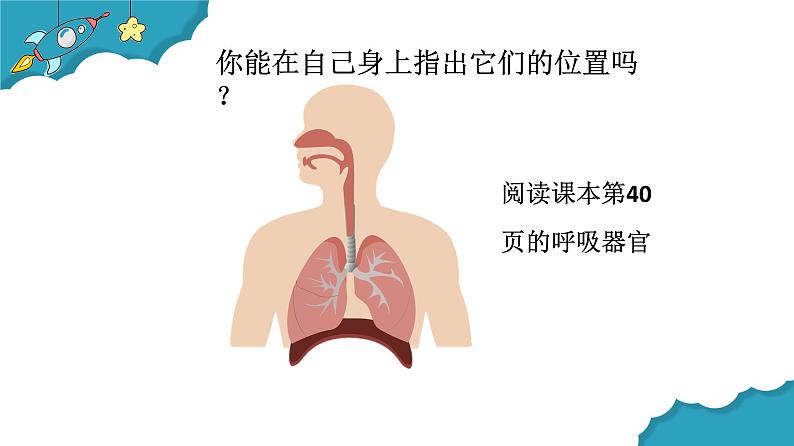 4.2我们的呼吸器官课件PPT第6页