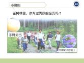7茅草与锯子课件PPT